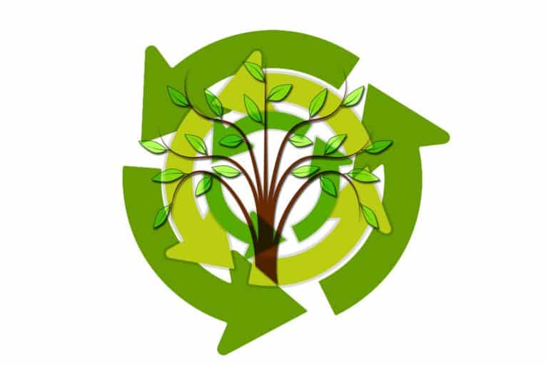 MEIO AMBINTE CICLO DA NATUREZA SUSTENTABILIDADE